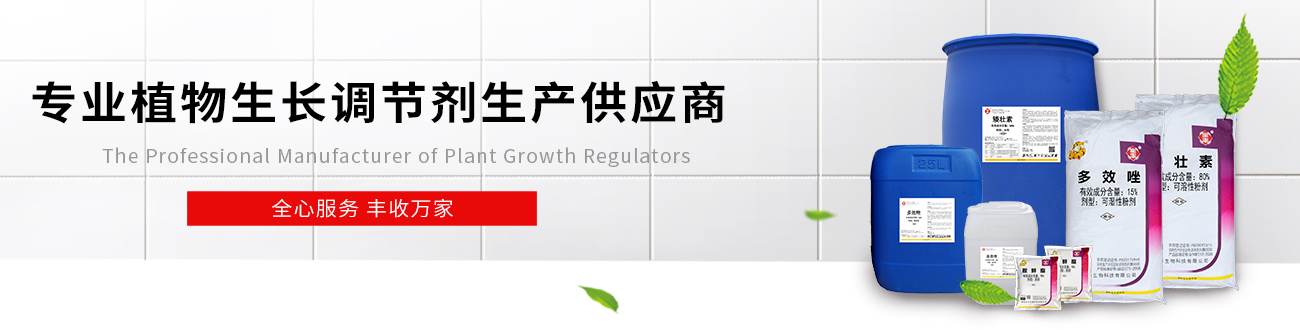 在線留言